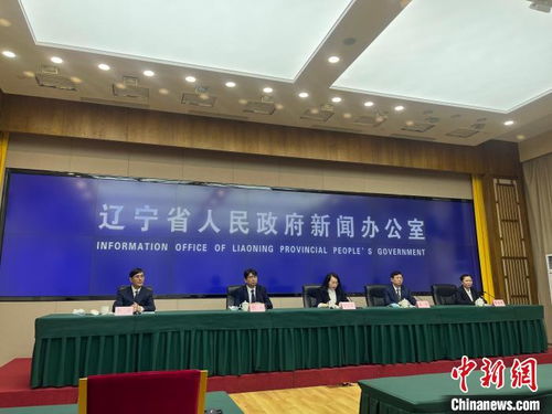 遼寧擘畫縣域經濟新藍圖 2025年綜合實力與發展活力躍升，經濟信息咨詢賦能關鍵路徑